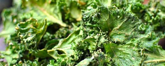 kale crisps